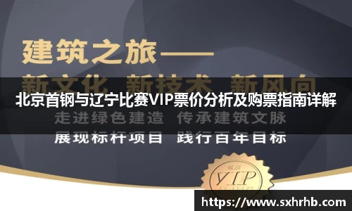 北京首钢与辽宁比赛VIP票价分析及购票指南详解